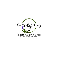 Letter EY Beautiful handwriting logo