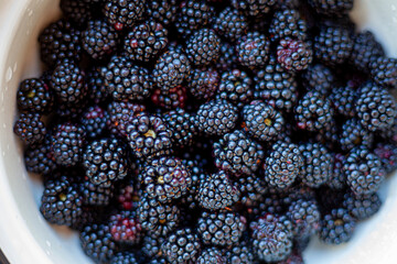 Blackberry. Black berries close-up. Food on a plate.. Black berries close-up. Food on a plate