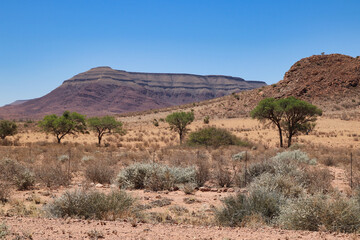 Fototapeta na wymiar beautiful landscape view in Namibia – Africa