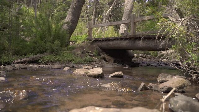 Rack focus from quiet rocky brooke to empty wooden bridge in forest in Slow Motion 60FPS