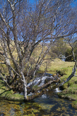 A waterfall and stream near Loch Assynt and Ardvreck Castle