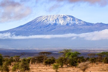 view of kilimandjaro mount - obrazy, fototapety, plakaty