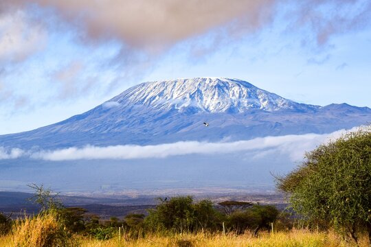 view of kilimandjaro mount