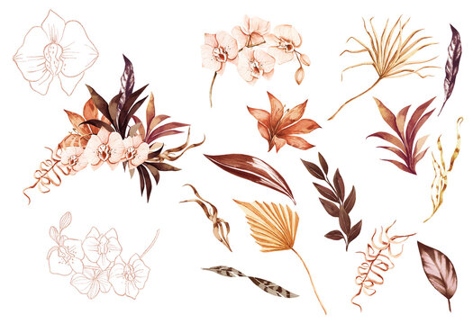 Bohemia Orchids and dry palm leaves, graceful plants, frames, bouquets. Wedding set luxury tropical and copper