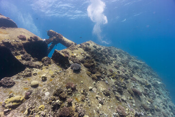 Underwater sunken ship wreck covered in coral