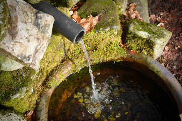 Water spring inside forest in Ore Mountains, Czech Republic. Clear drinking water flows out of the pipe. Natural mineral water source. 