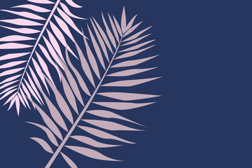 Pattern from tropical leaves. Large palm leaves on blue background with empty space for text