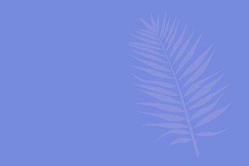 Palm leaf on a lilac background. Drawing in a minimalist style