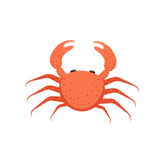 Crab. Vector illustration.