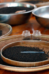 Pepper farm. Famous Kampot black pepper.  Kep. Cambodia. 18.04.2019