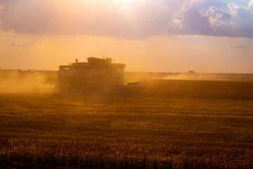 Fototapeta premium combines on the field harvest wheat, agriculture, Russian fields, harvesting in the evening.