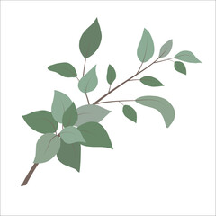 Art watercolor natural branches leaves elements. Vector illustration