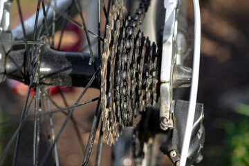 Sprocket and chain dirty with grease, visible wheel hub and derailleur.