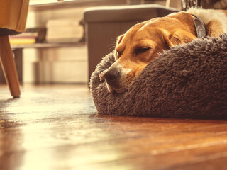 Repos