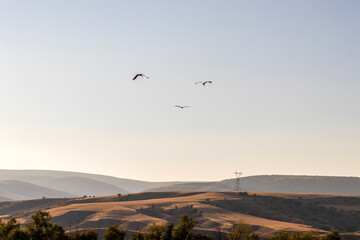 flying over the mountains