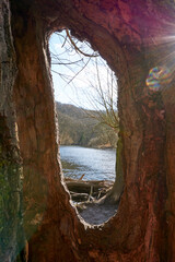 Fototapeta premium view through a hollow tree to a lake