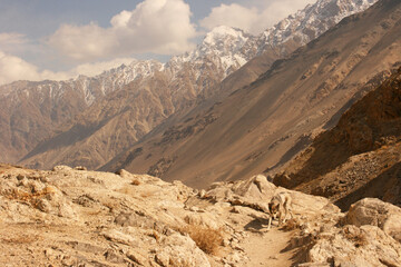 Wakhan valley, Tajikistan: view from Khaakha Fortress. Beautiful scenery along the road trip on Wakhan valley, Pamir highway, Tajikistan