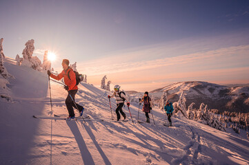 Mountaineer backcountry ski waling in the mountains. Ski touring in high alpine landscape with snowy trees. Adventure winter extreme sport.