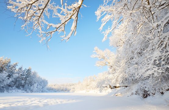 Frozen river in a frame of snow-covered trees, hoarfrost on branches. Clear blue sky. Idyllic landscape. Winter wonderland. Nature, seasons, climate change, ecology, ecotourism, Christmas vacations