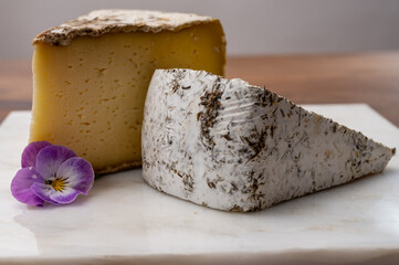 Cheese collection, Tomme de Savoie cheese from Savoy region in French Alps,  mild cow's milk cheese with beige interior and thick brownish-grey rind