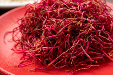 Naklejka premium Young sprouts plants of red beet ready for consumption