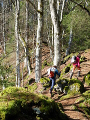 de Besse au Puy de Champbourguet