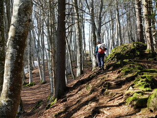 Obraz premium de Besse au Puy de Champbourguet