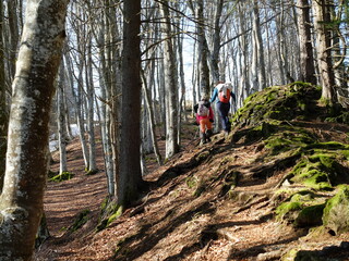 de Besse au Puy de Champbourguet