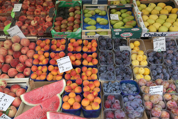 ITALY PIEMONT LAGO MAGGIORE