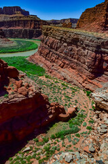 The Colorado Riverbed, overgrown with green vegetation. Canyonlands National Park is in Utah near Moab, US