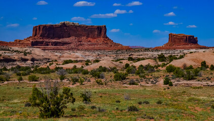 Fototapeta na wymiar Layered geological formations of red rocks in Canyonlands National Park is in Utah near Moab.