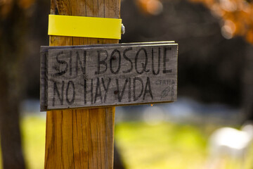 Sin bosque n o hay vida