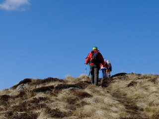 de Besse au Puy de Champbourguet