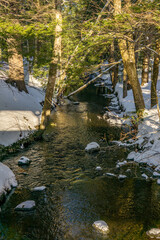 Water flows down a stream set between snow covered rocks and trees in this beautiful landscape scene.