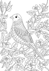 Hand drawing coloring for kids and adults. Beautiful drawings with patterns and small details. Coloring pictures with bird in blooming tree branch. Vector