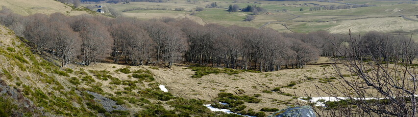 de Besse au Puy de Champbourguet