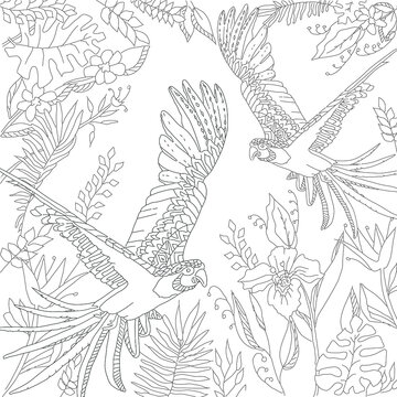 Hand drawing coloring for kids and adults. Beautiful drawings with patterns and small details. Coloring pictures with parrot and tropical leaves.