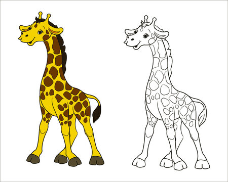A long-necked spotted giraffe. Coloring book for children black and white. Vector illustration in cartoon style, isolated line art
