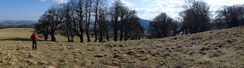 de Besse au Puy de Champbourguet