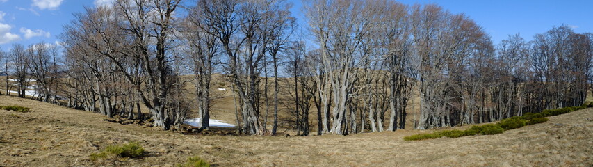 de Besse au Puy de Champbourguet