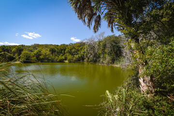Beautiful and natural Floridian Park