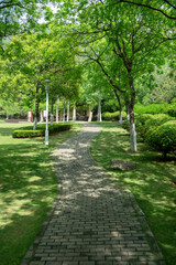 A quiet path in the city park