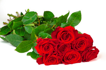  bouquet of red roses on the white
