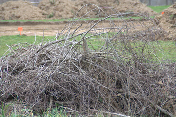 Défrichage de terrain pour un lotissement de constructions de maisons