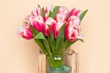 Bouquet of fresh red-white tulips on beige background. Gift for romantic date. Tender spring flowers. Bunch of tulips for Mother's Day, March 8, birthday