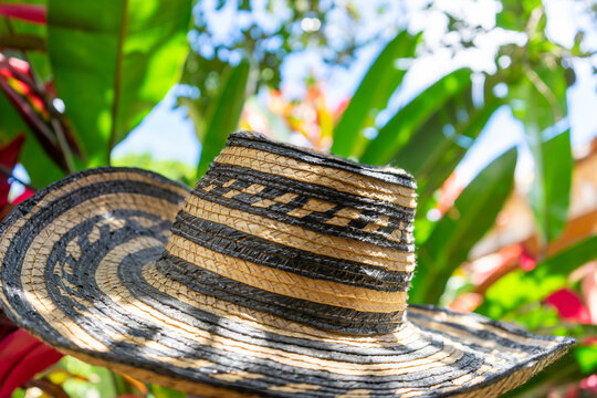 Sombrero Vueltiao, Traditional Colombian Hat With Plants Background.