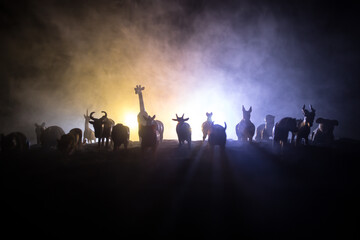 Fototapeta na wymiar A group of animals are grouped together on a black background with glowing white rays. Animals range from an elephant, zebra, bear and rhino. Use it for a zoo or friends concept.
