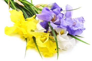 Bouquet of colorful irises with leaves.