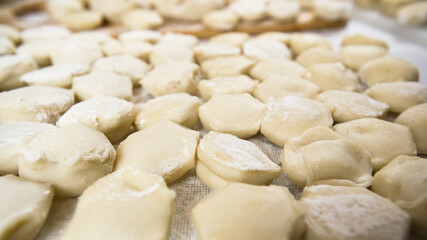 Handmade ravioli dumplings are beautifully arranged in rows on a cutting board and sprinkled with flour. Close-up, macro.