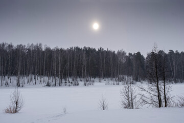 A disk of low winter sun over the forest on a cloudy day.